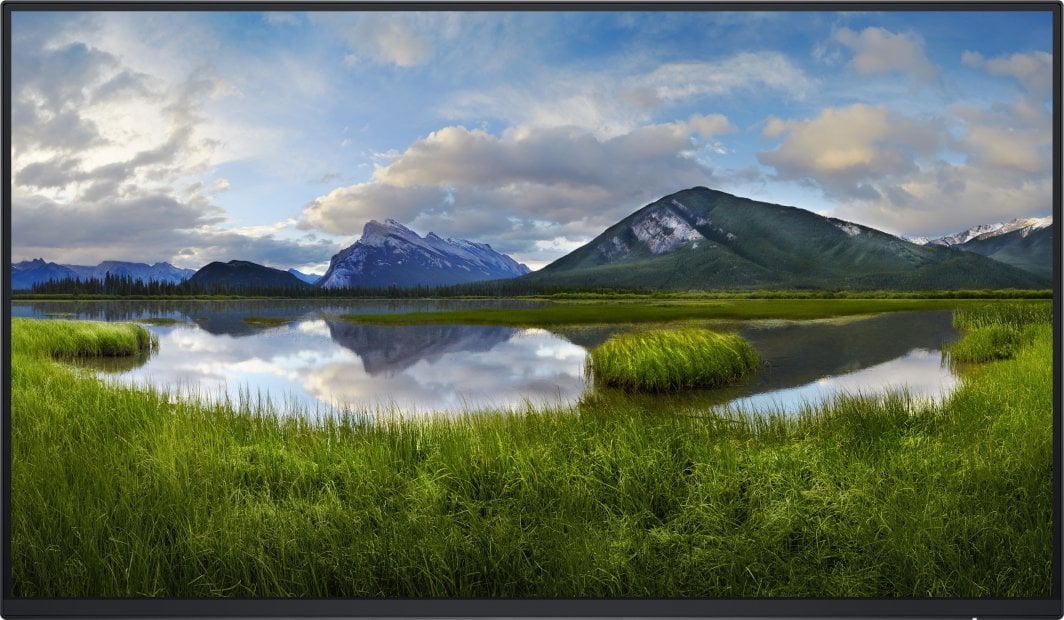 Monitor Dell P2425H Professional, 23.8", FHD, i zi