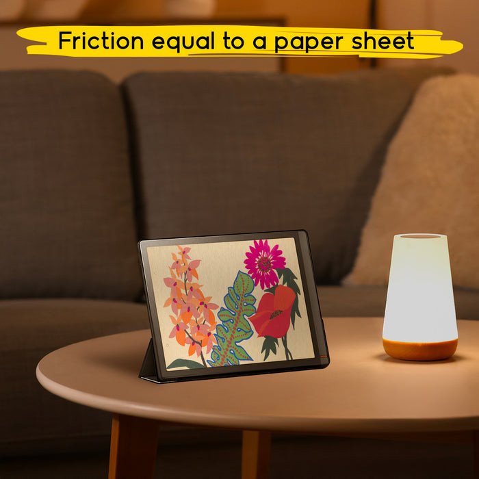 Fletë mbrojtëse Doodroo për Boox Tab X, ekran 13.3", transparente