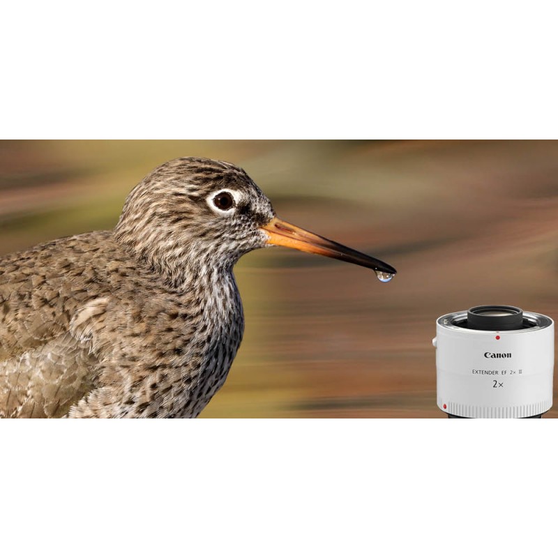 Canon Extender EF 2X III