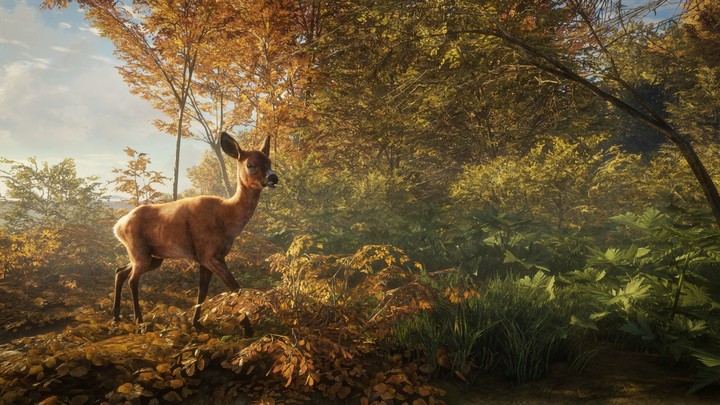 Videolojë theHunter: Call of the Wild (Xbox ONE)