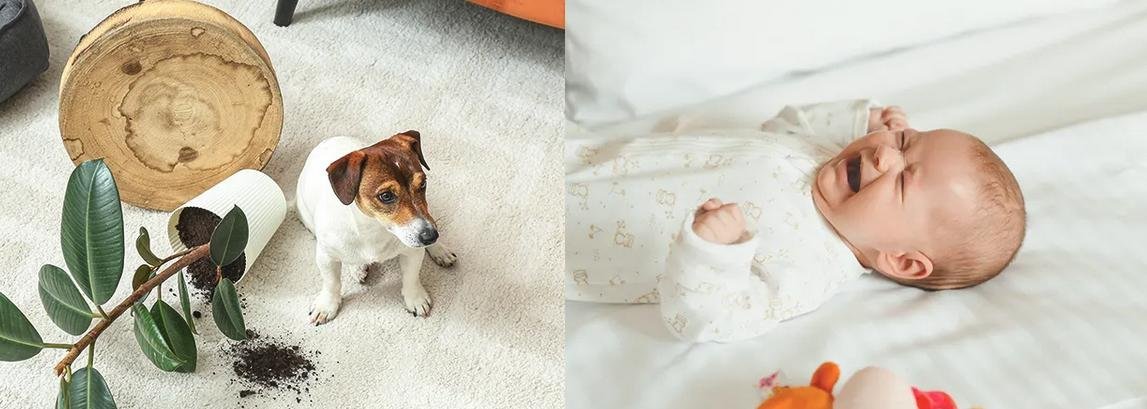 Kamerë IP WiFi Imou Ranger Dual, 10MP, dy lente, e bardhë