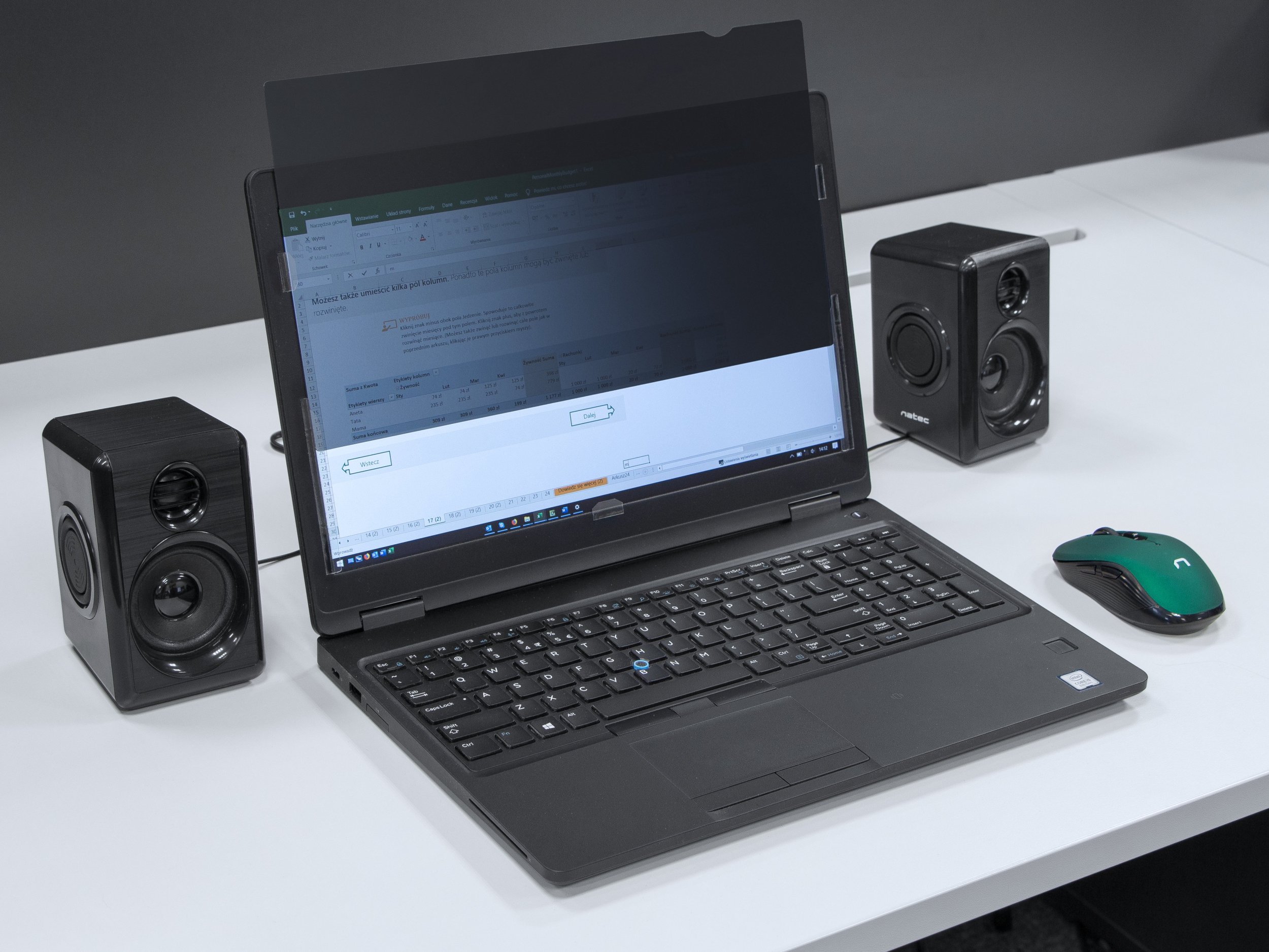 Filtër privatësie Natec OWL, 17.3", për laptop, transparent