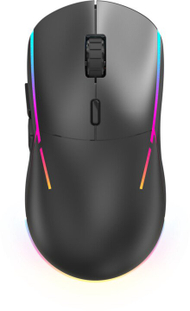 Maus YENKEE SAMURAI, i zi