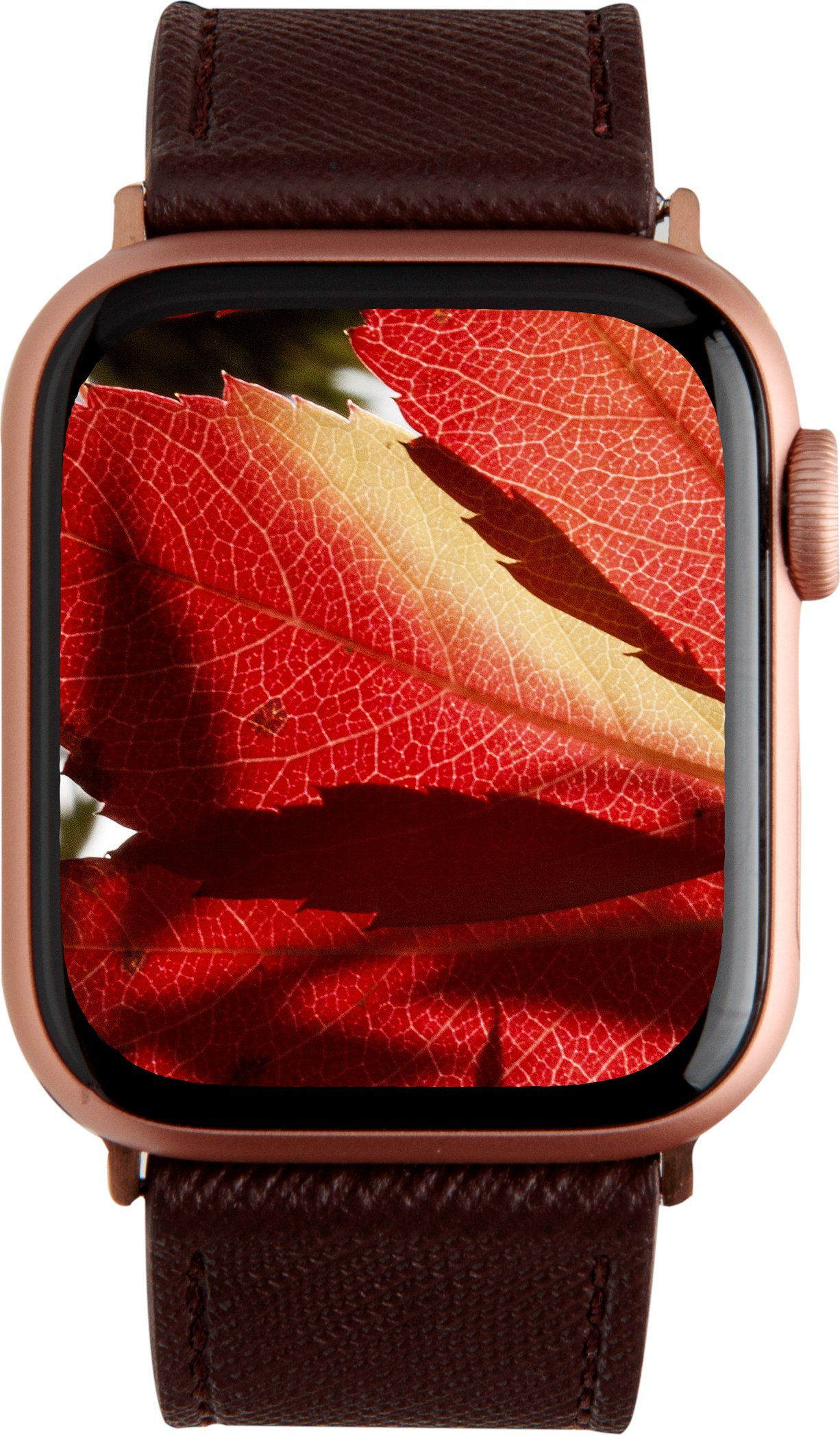 Rrip smartwatch Dbramante1928 Madrid, për Apple Watch, lëkurë, dark chocolate