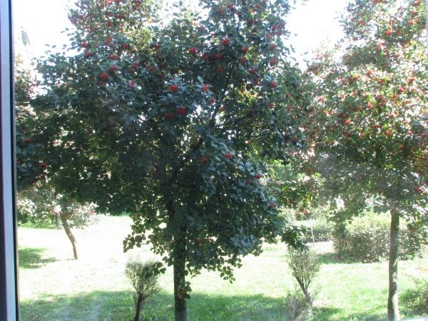 Поларизациски филтер Seagull CPL SLIM, 40.5mm, оптичко стакло