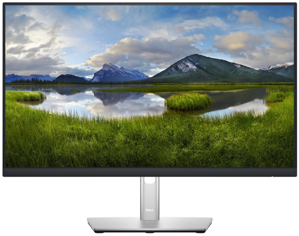 Monitor Dell P2422H LED EEC C (A - G), 23.8", FHD, i zi / argjendtë