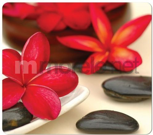 Libër udhëzues Fellowes Beswick Buyers Guide 2020 2021