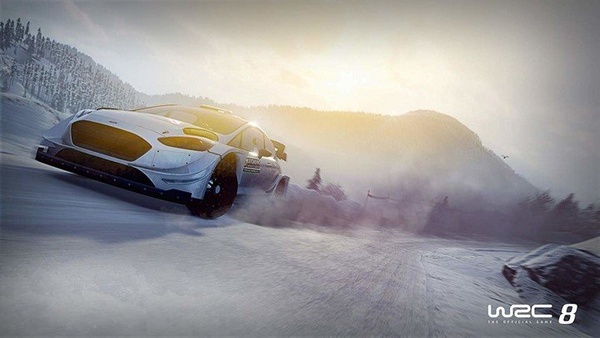Videolojë WRC 8 (SWITCH)