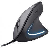 Maus Trust Verto, i zi