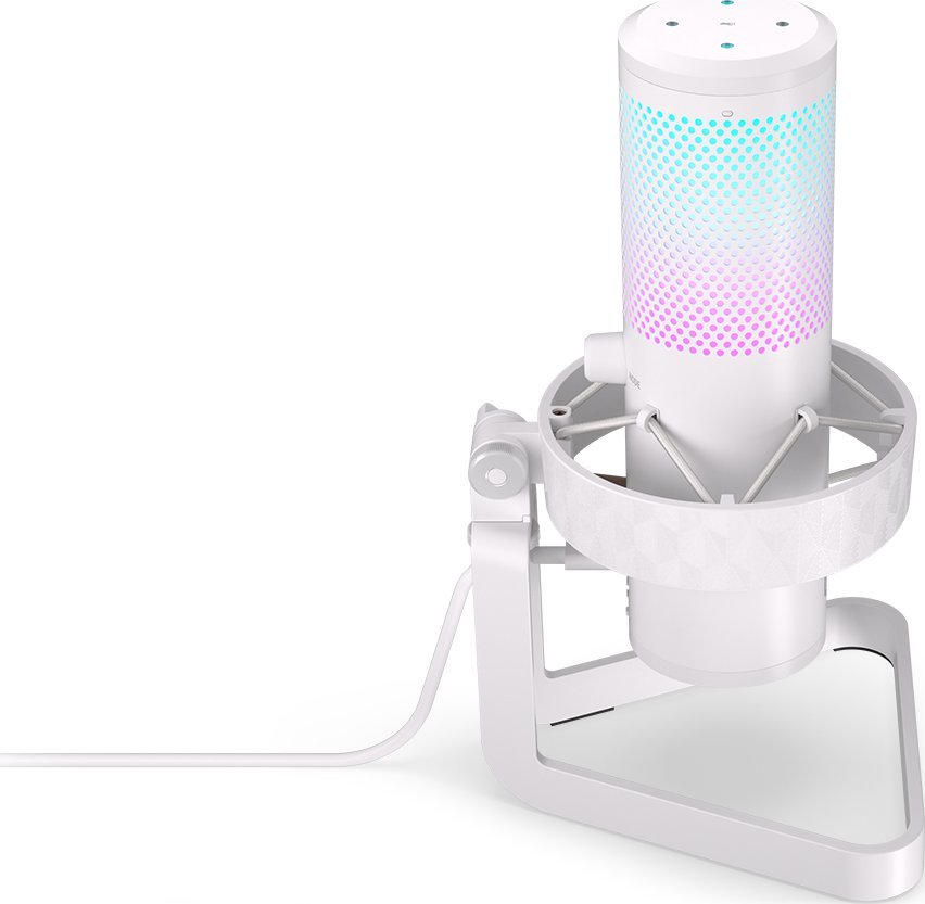 Mikrofon Endorfy AXIS Streaming OWH, i bardhë