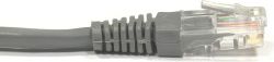 Kabllo patchcord NetRack Cat. 5e, UTP, 20m, e hirtë