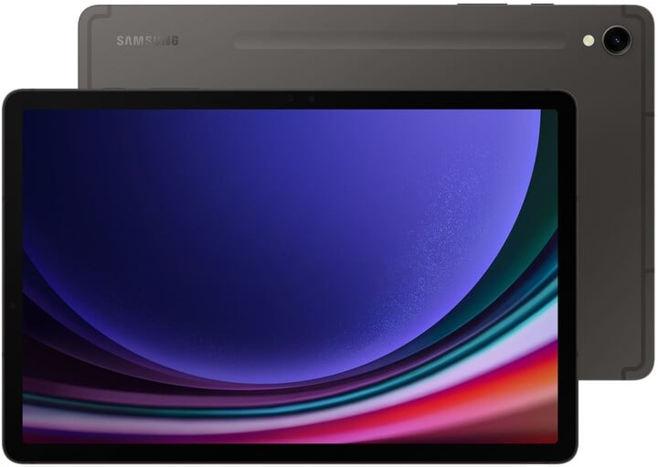 Tablet Samsung Galaxy Tab S9, 8GB/128GB, Gray