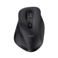 Maus Trust Fyda, Wireless, i zi