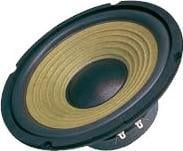 Altoparlant veture Dibeisi DBS-G8002, 8", 4 Ohm, i zi