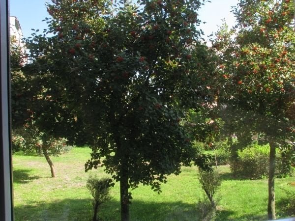 Filter polarizues Seagull CPL SHQ, 40.5mm, për kamera dhe kamkorder