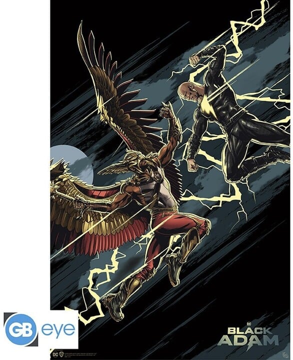 Poster DC Comics - Black Adam vs Hawkman (91.5x61)