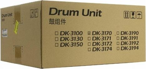 Daulle Kyocera DK-3170 (302T993060)