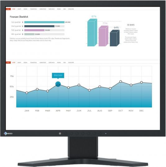 Monitor Eizo FlexScan S1934H-BK, 19", i zi
