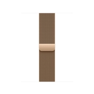 Apple Watch 40mm Milanese Loop, Gold Milanese Loop