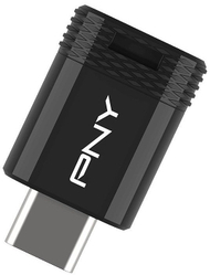 USB flash PNY Elite X Fit Type C, 256GB, USB 3.2, i zi