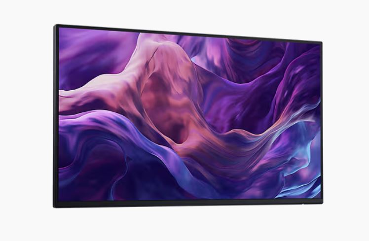 Monitor Dell P2425H WOST, 23,8", IPS, FHD, i zi