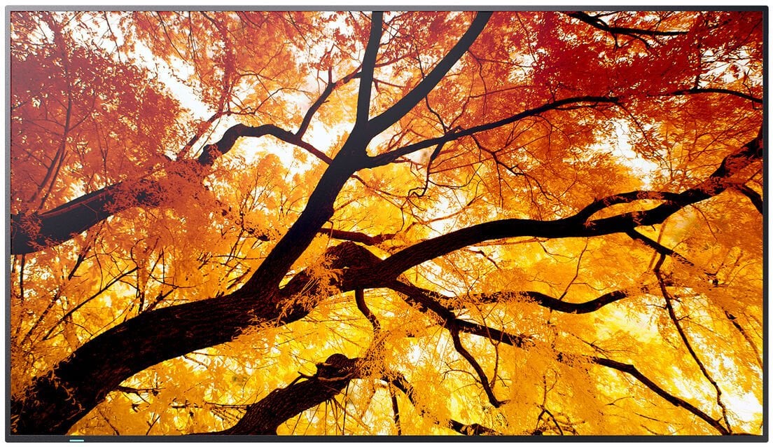 Ekran profesional Sharp MultiSync M862, 86", 4K Ultra HD, 550 cd/m², i zi