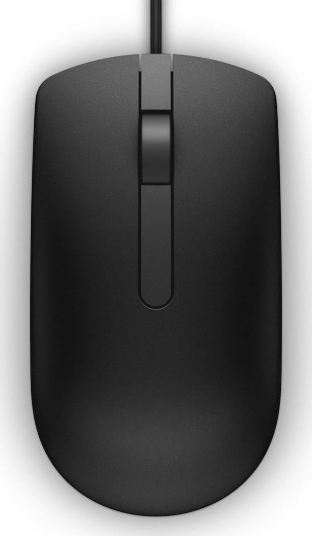 Maus Dell MS166, i zi