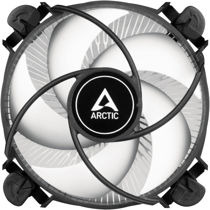 Ftohës Arctic Alpine 17