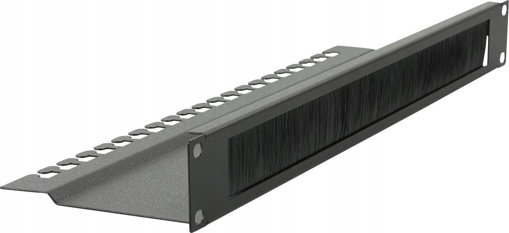 Organizues kabllosh për raft Lanview RAO210BL, 19", metal, i zi