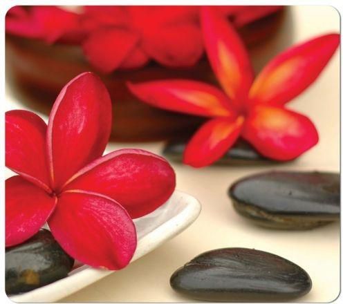 Libër udhëzues Fellowes Beswick Buyers Guide 2020 2021