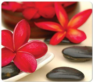 Libër udhëzues Fellowes Beswick Buyers Guide 2020 2021