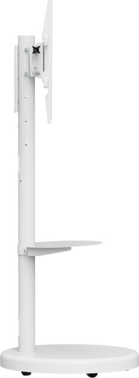 Stendë TV Techly ICA-TR55, universal, deri 86", 50kg, e bardhë