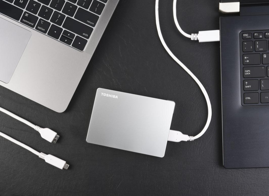 Disk i jashtëm HDD Toshiba Canvio Flex (HDTX140ESCCA), 4TB, i argjendtë