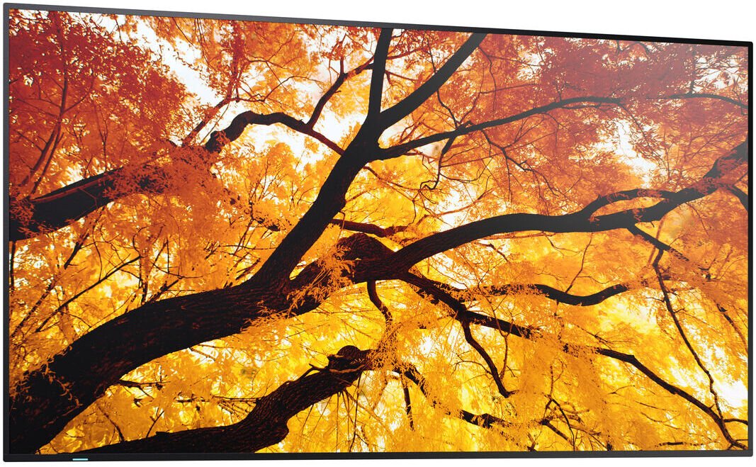 Професионален монитор Sharp MultiSync M432, 43\", 4K Ultra HD, црн