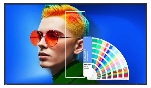 Ekran profesional BenQ SL6504, 65", 4K, i zi