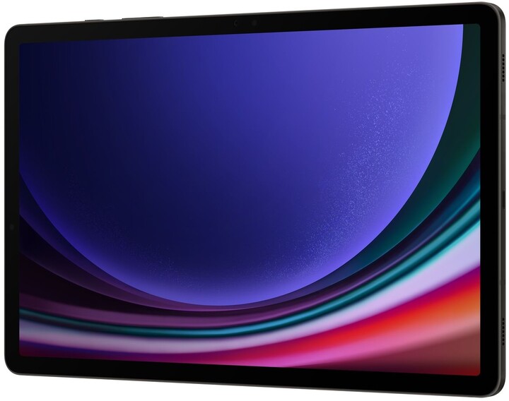 Tablet Samsung Galaxy Tab S9, 8GB/128GB, Gray