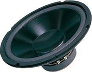 Altoparlant për makinë Dibeisi DBS-G1001, 10", 110W, 8 Ohm